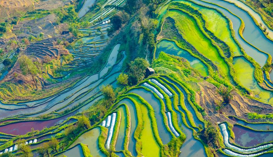 宝妈必备神器：夏津县产品视频拍摄轻松育儿好帮手