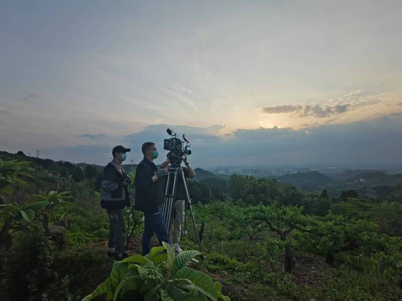 创意破圈！夏津县电商产品宣传视频用故事化叙事引爆流量