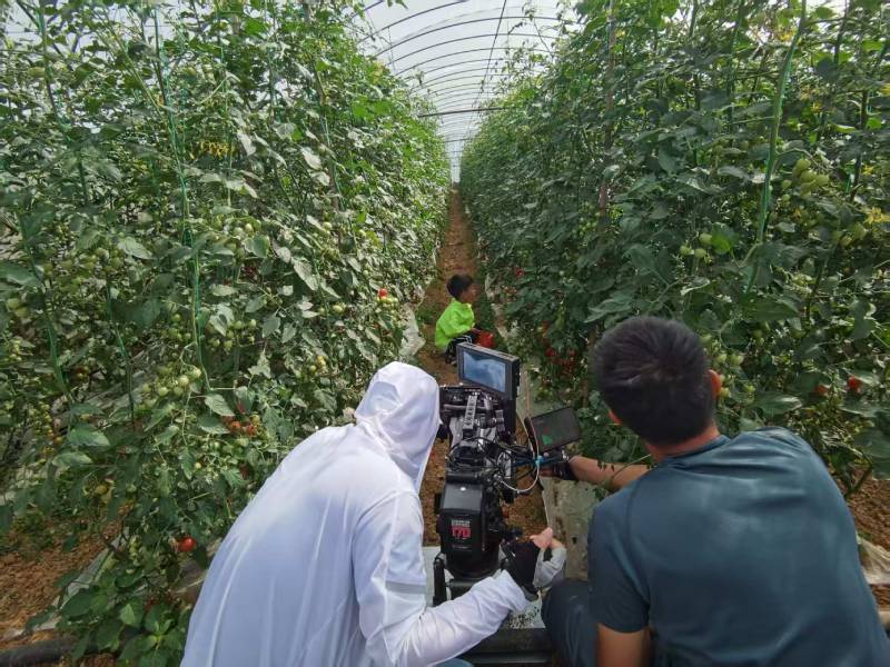 夏津县产品宣传视频拍摄公司进阶指南，助力品牌抢占传播高地